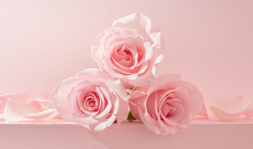 Formation nail art en ligne - Tutoriel romance - Assemblage de roses et pétales